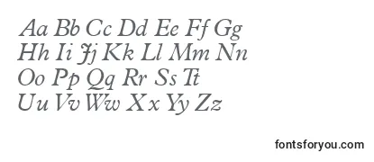 TerminussskItalic-fontti