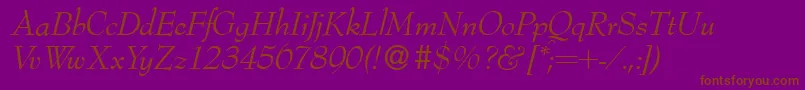 Bernhardmodern Italic Font – Brown Fonts on Purple Background