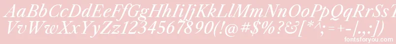 LibrecaslontextItalic Font – White Fonts on Pink Background