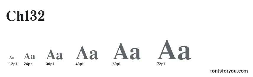 Ch132 Font Sizes