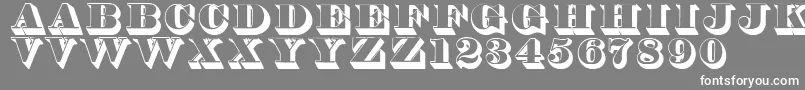 フォントThorneshaded – 灰色の背景に白い文字