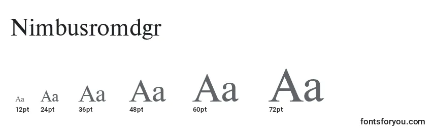 Размеры шрифта Nimbusromdgr