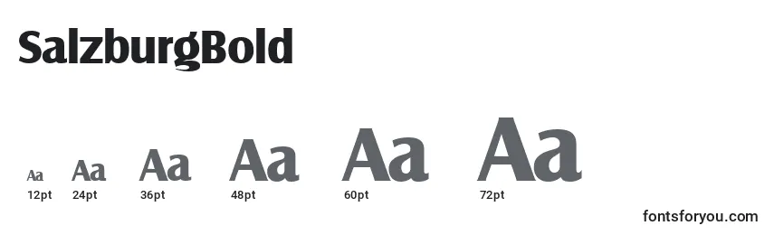 SalzburgBold Font Sizes