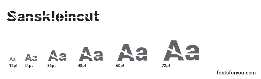 Размеры шрифта Sanskleincut