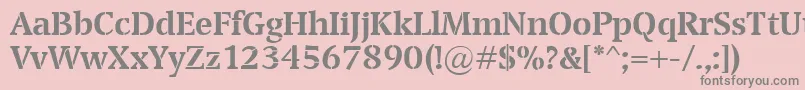 フォントTransportBold – ピンクの背景に灰色の文字