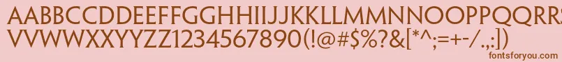 PenumbrahalfserifstdReg Font – Brown Fonts on Pink Background