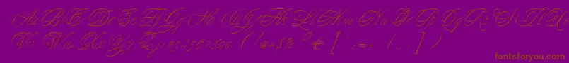 YesterdayRegularDb-Schriftart – Braune Schriften auf violettem Hintergrund