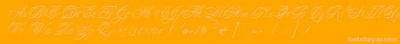 YesterdayRegularDb-Schriftart – Rosa Schriften auf orangefarbenem Hintergrund