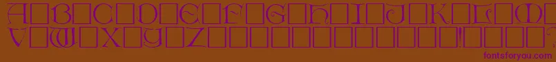 DietercapsRegular Font – Purple Fonts on Brown Background