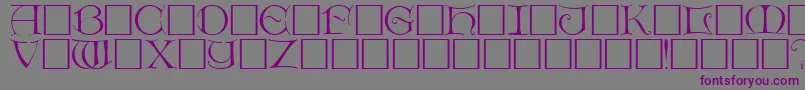 DietercapsRegular Font – Purple Fonts on Gray Background