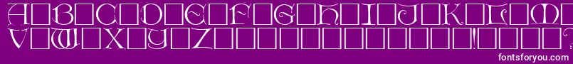 DietercapsRegular Font – White Fonts on Purple Background