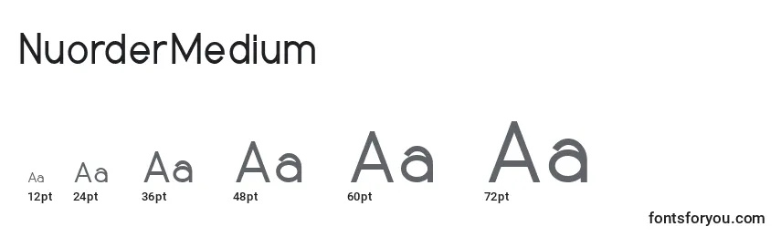 Размеры шрифта NuorderMedium