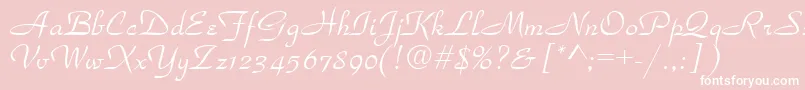 TorhokItalic.001.001 Font – White Fonts on Pink Background