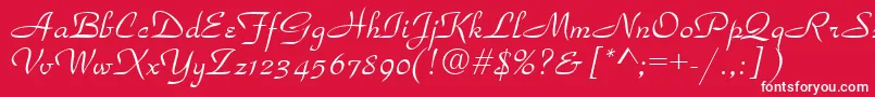 TorhokItalic.001.001 Font – White Fonts on Red Background