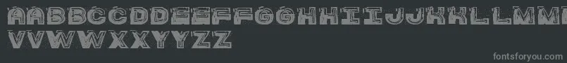 SsBarracudaSt Font – Gray Fonts on Black Background