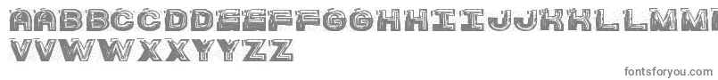 SsBarracudaSt-Schriftart – Graue Schriften