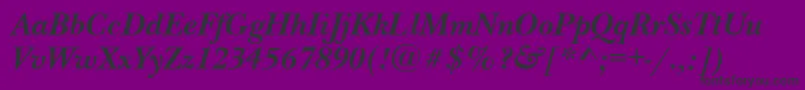 NewbaskervillegttBolditalic Font – Black Fonts on Purple Background