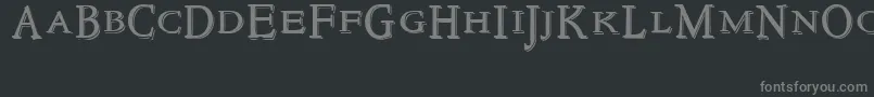 NewstyletitlingEmbossed Font – Gray Fonts on Black Background