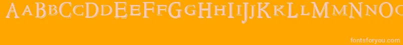 NewstyletitlingEmbossed Font – Pink Fonts on Orange Background
