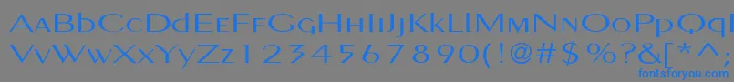 Pignosetyp Font – Blue Fonts on Gray Background