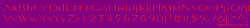Pignosetyp Font – Red Fonts on Purple Background