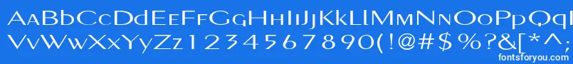 Pignosetyp Font – White Fonts on Blue Background