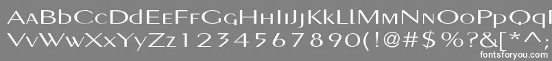 フォントPignosetyp – 灰色の背景に白い文字