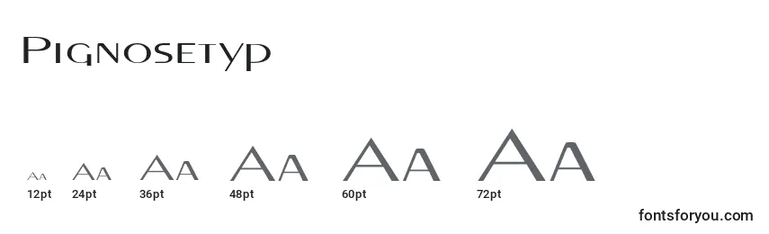 Pignosetyp Font Sizes