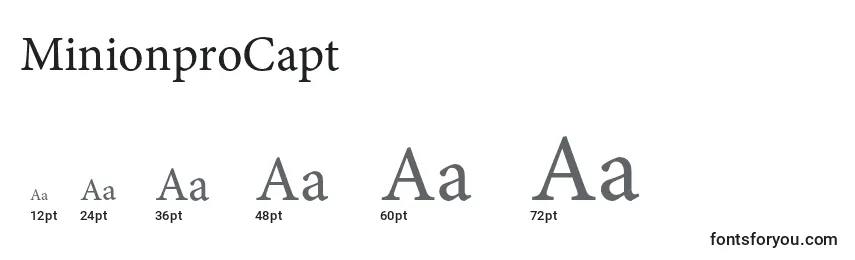 Размеры шрифта MinionproCapt