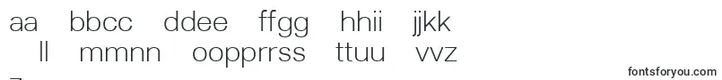 Lunchtype22Light Font – Latvian Fonts