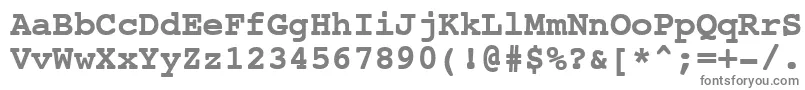 フォントNtcouriervkCyrillicBoldoblique – 白い背景に灰色の文字