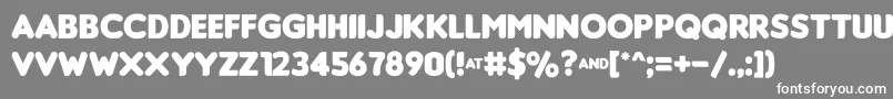 InsaniburgerWithCheese Font – White Fonts on Gray Background