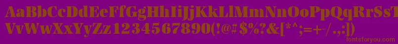 Urwantiquatultbolextnar Font – Brown Fonts on Purple Background