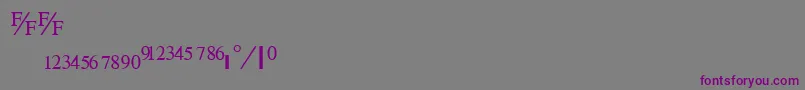 TimefractionRegular Font – Purple Fonts on Gray Background