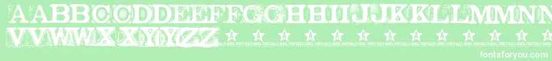 NetworkD Font – White Fonts on Green Background