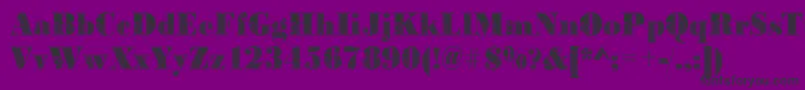 BodoniconcentricRegular Font – Black Fonts on Purple Background