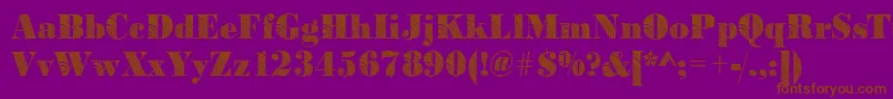 BodoniconcentricRegular Font – Brown Fonts on Purple Background