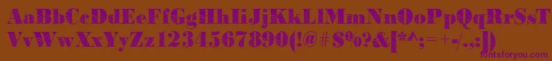 BodoniconcentricRegular Font – Purple Fonts on Brown Background