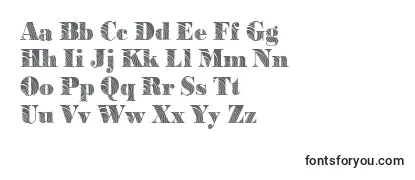 BodoniconcentricRegular Font