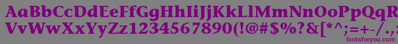 ItcStoneInformalLtBold Font – Purple Fonts on Gray Background