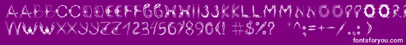 Insektofobiya Font – White Fonts on Purple Background