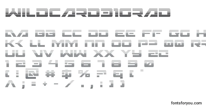 A fonte Wildcard31grad – alfabeto, números, caracteres especiais
