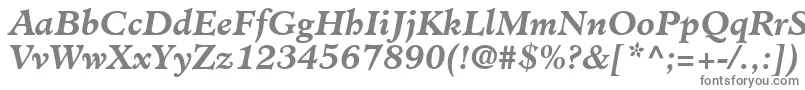 フォントClericSsiBoldItalic – 白い背景に灰色の文字