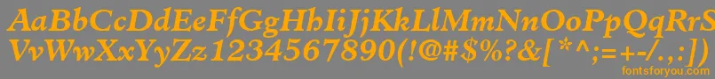 ClericSsiBoldItalic Font – Orange Fonts on Gray Background