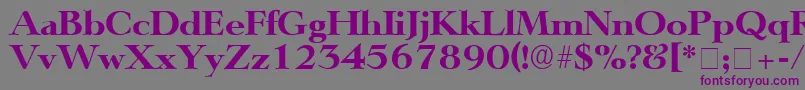 TeronoDisplaySsi Font – Purple Fonts on Gray Background