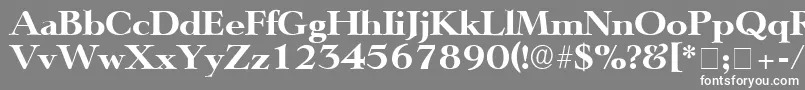 TeronoDisplaySsi Font – White Fonts on Gray Background