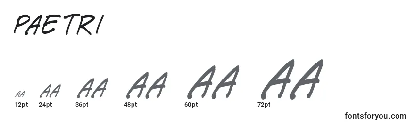 Размеры шрифта Paetri