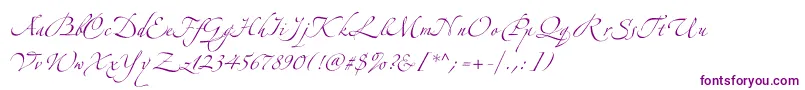Zeferinoone Font – Purple Fonts