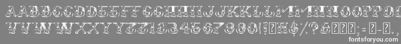 フォントFugitiva – 灰色の背景に白い文字