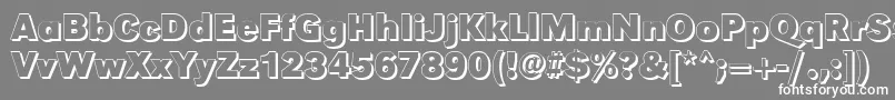 GroteskshBold-Schriftart – Weiße Schriften auf grauem Hintergrund